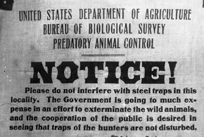 An old posting by a government agency regarding trapping wildlife.