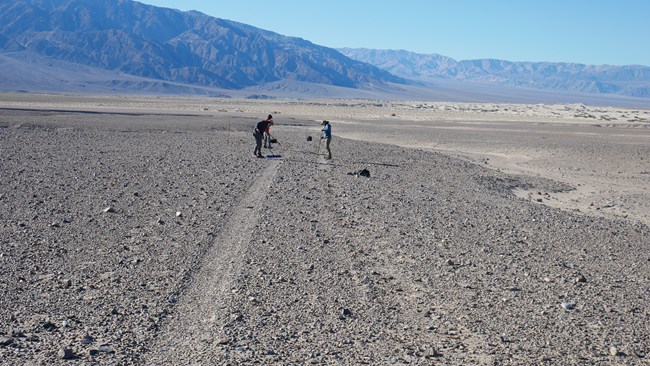 Two tire tracks are seen in the desert. A person stands at the end of each with a rake. The track on the left is clear, the track on the right is obscured by raking.