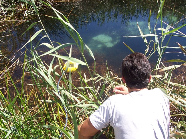 a man looks at a yellow probe in blue water with green grasses around