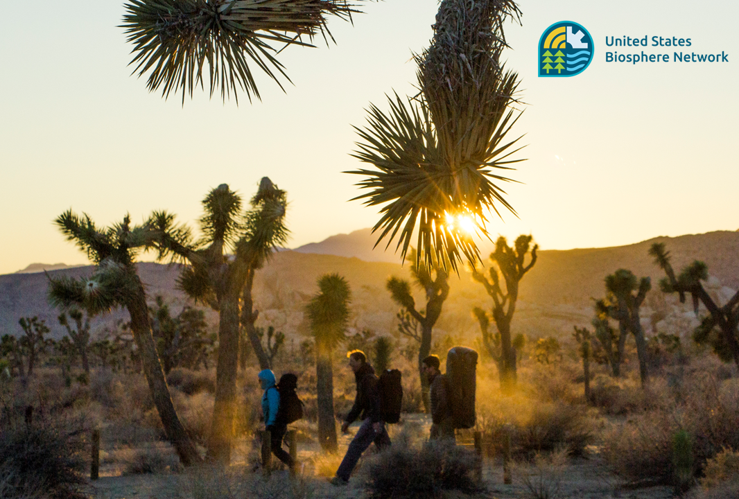 Sunset of hikers among Joshua Trees and a logo in the upper right corner for the United States Bioshpere Network.