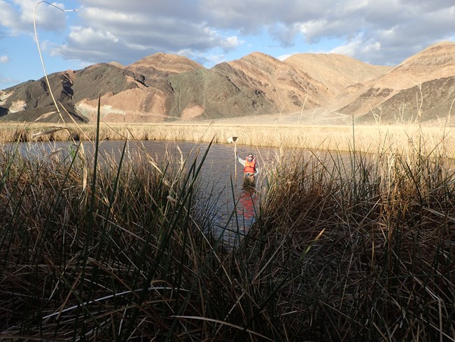 Person in life vest standing in middle of large spring with invertebrate sampling net.