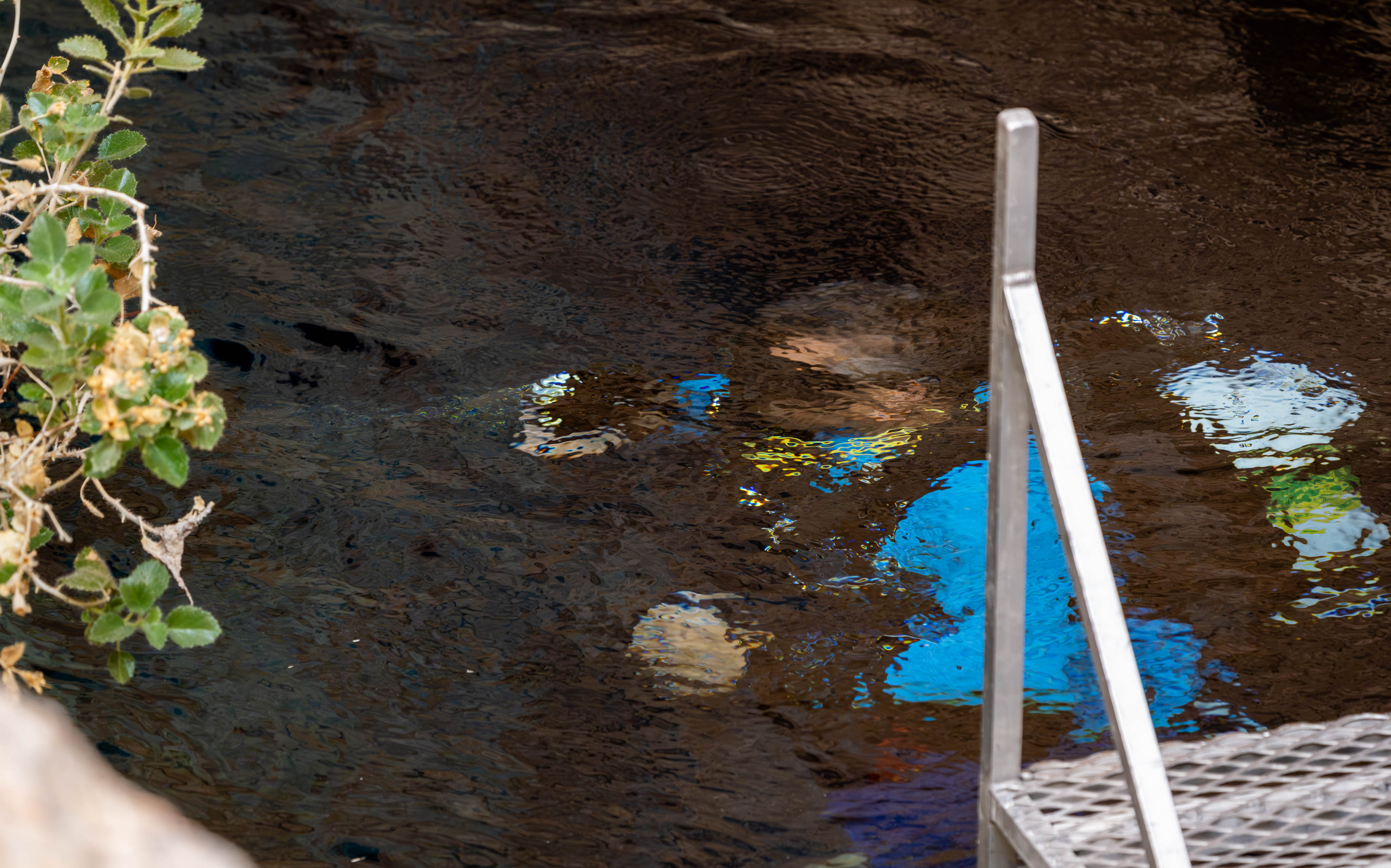The image shows a reflective water surface with visible parts of individuals wearing bright-colored attire. The ripples distort their visibility, while a metal railing and a plant are also partially visible.