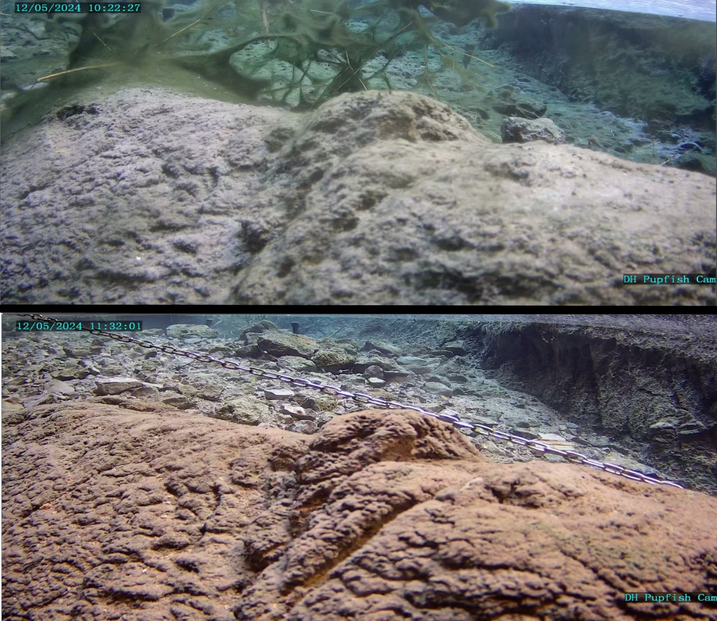 Two underwater photos are above and below each other for comparison. The top has a lot of green plants and algae. The bottom is only rocks and gravel.