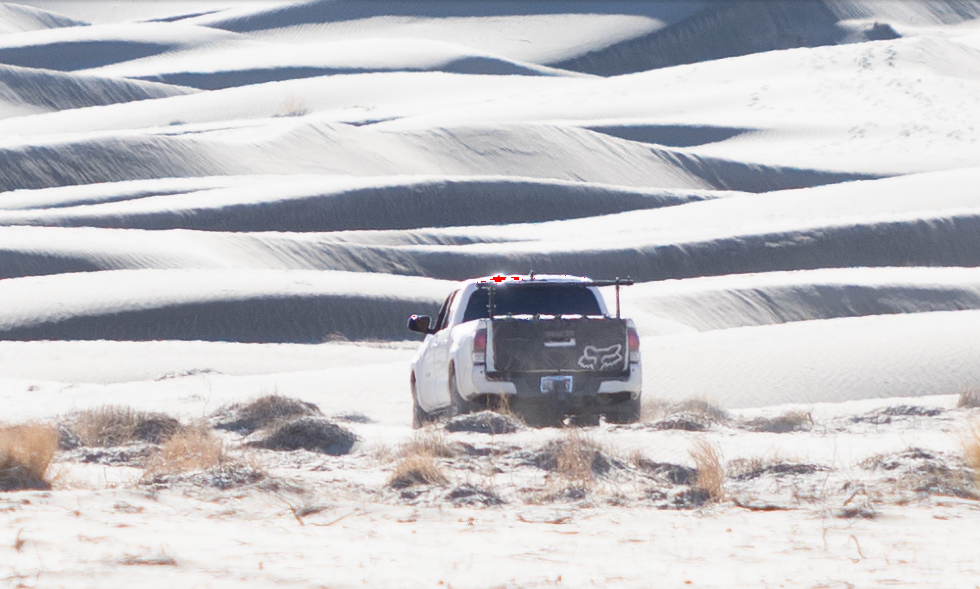 A white pickup truck is in front of white sand dunes. Low-lying plants are in the foreground.