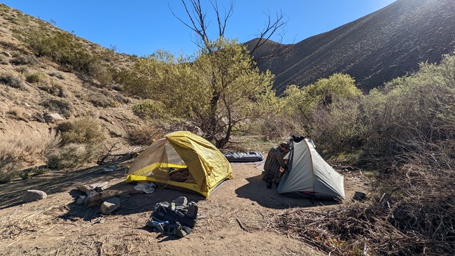 Two tents in a desert riparian area with brush and trees in the foreground and canyon walls rising in the background. A person is crouching down looking in the tent on the right.