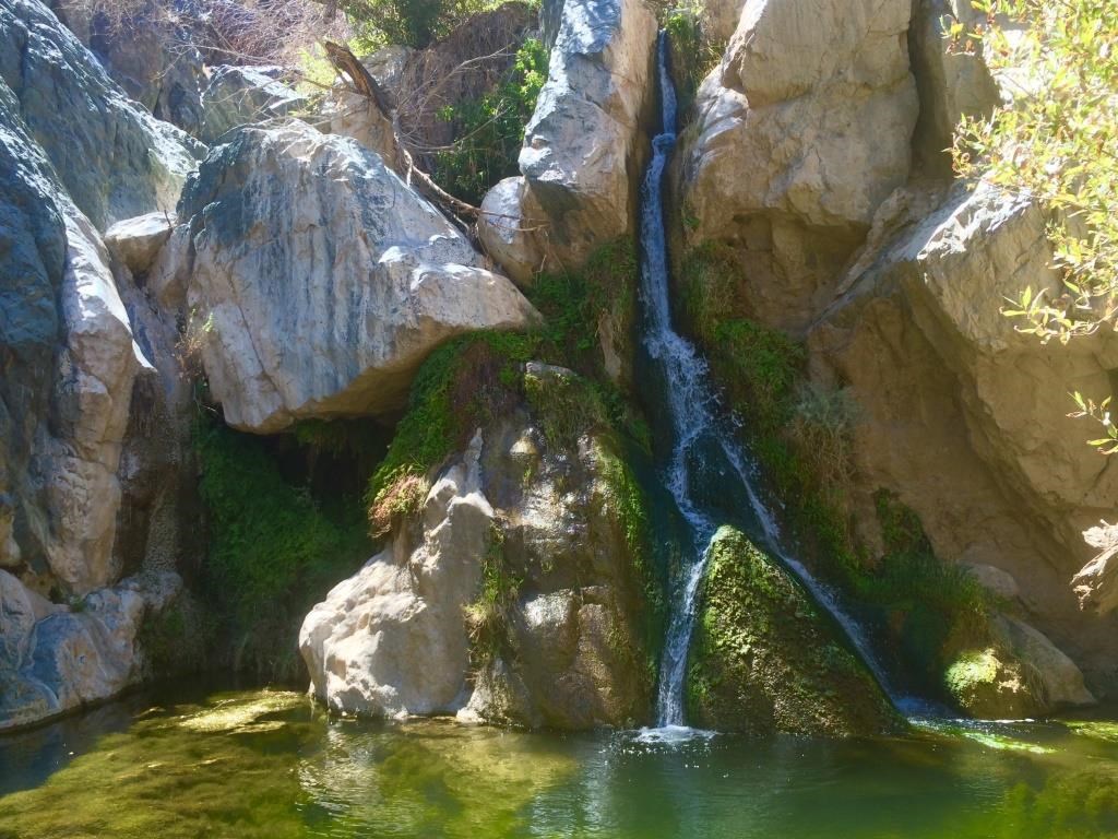 A desert waterfall cascades down into a sunlit pool surrounded by lush vegetation.