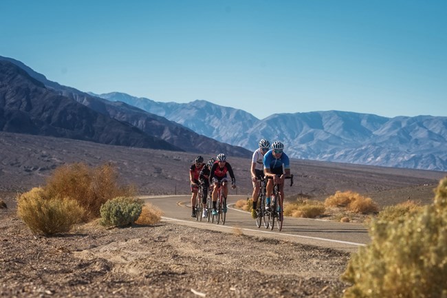 Five road bikers ride single file down paved road through Death Valley.