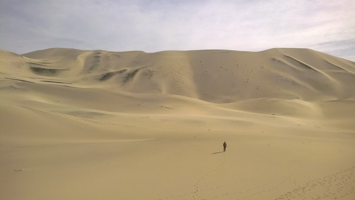 A hiker walks across the sand toward immensely high dunes