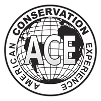A globe with American Conservation Experience around it and ACE through the center.