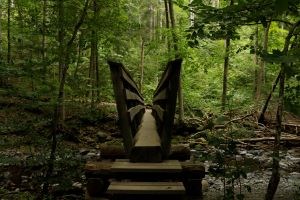 A wooden log bridge going over a creek.
