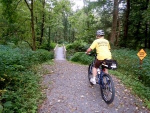 A volunteer with a helmet and a yellow shirt on is riding a bike on a gravel trail.