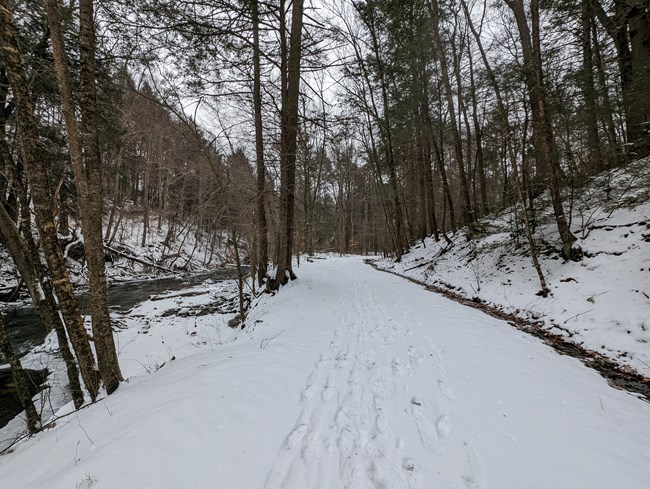 A trail covered in snow and surrounded by trees.