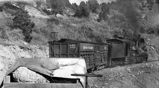 Uintah Railway Bones