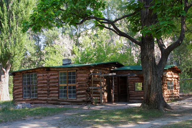 A simple log cabin shaded by trees