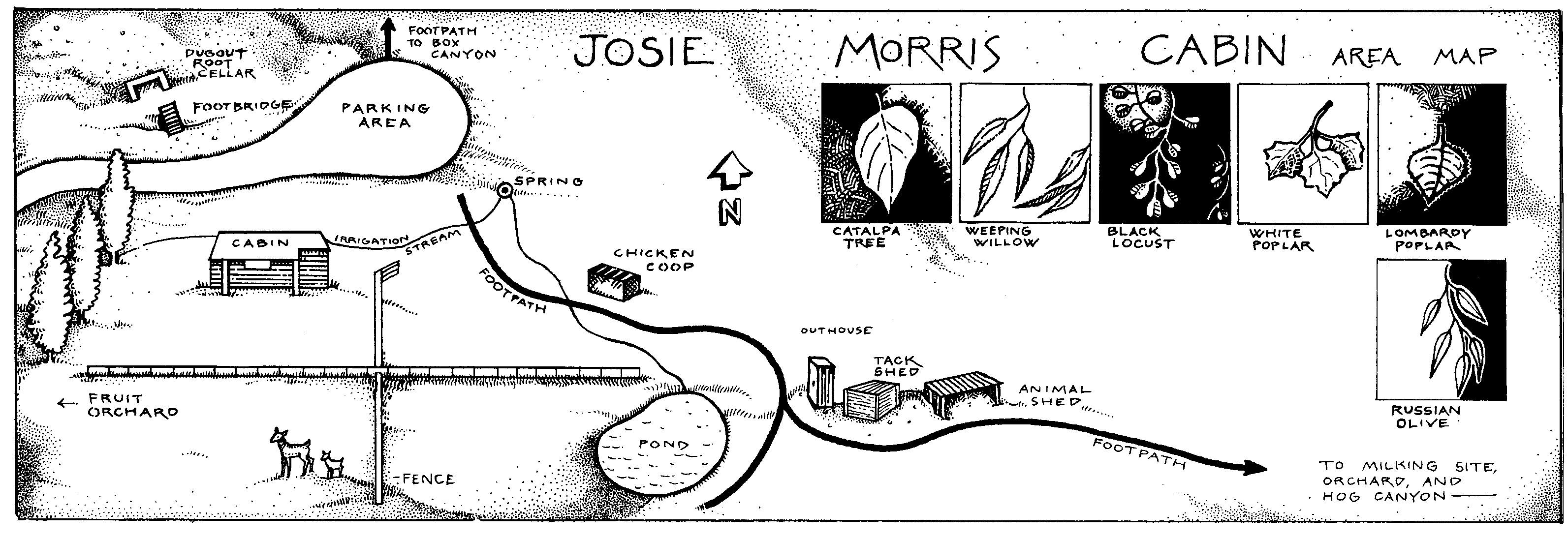 A hand-drawn map of a homestead, including a cabin, chicken coop, and pond.