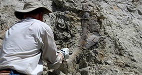 Paleontologist Brooks Britt working on a fossil at the DNM16 excavation site.