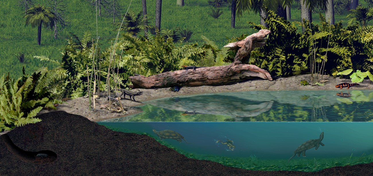An artist rendition of a Late Jurassic pond, showing a small crocodilian, a lizard, several frogs, turtles, and a salamander.
