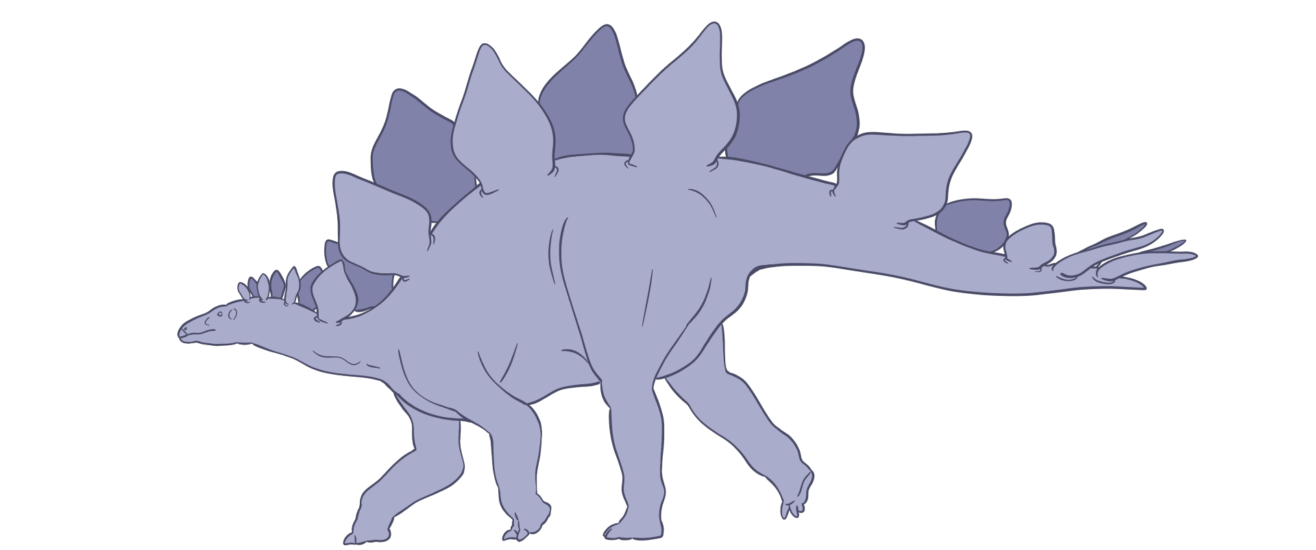 A drawing of the ornithischian dinosaur, Stegosaurus. This dinosaur has huge plates running down the length of its back and four spikes on the end of its tail. It walks on four legs.