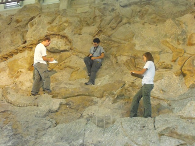 Documenting Bone Conditions