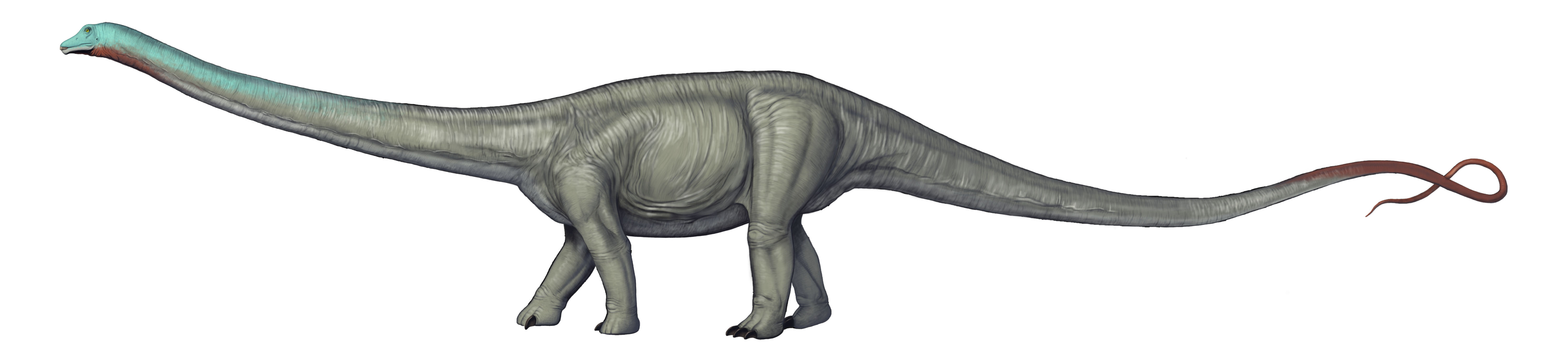 Artwork depicting a Diplodocus dinosaur