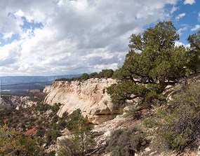 Montane and semi-desert woodlands at Plug Hat Butte on Harpers Corner Road.