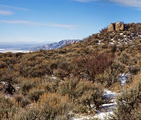 Montane and semi-desert shrub-steppe near Escalante Overlook on Harpers Corner Road.