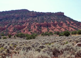 Semi-desert shrub-steppe on the Yampa Bench Road.