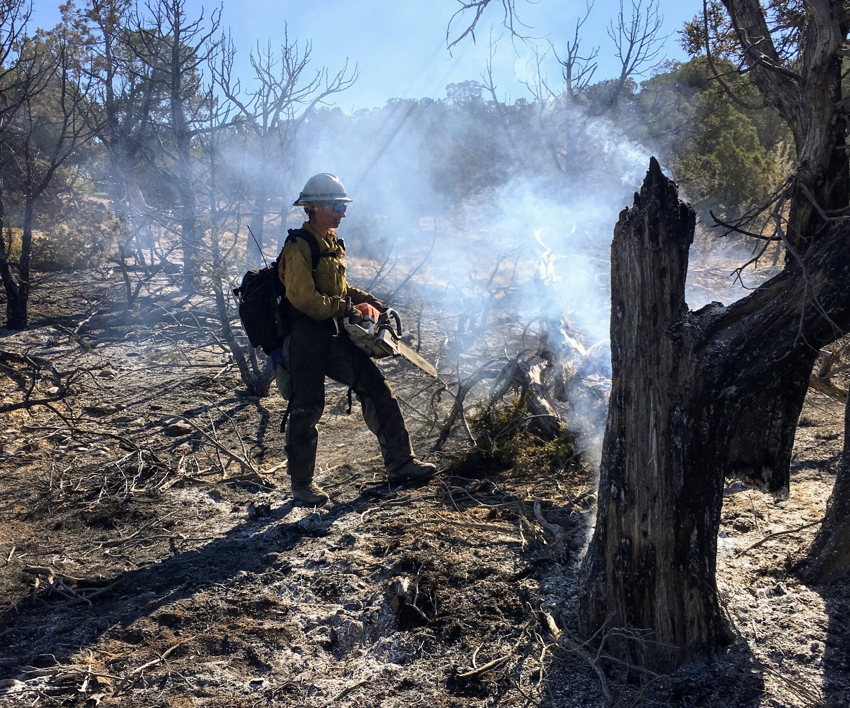 Person in yellow shirt holding a chainsaw stands in a smoky landscape