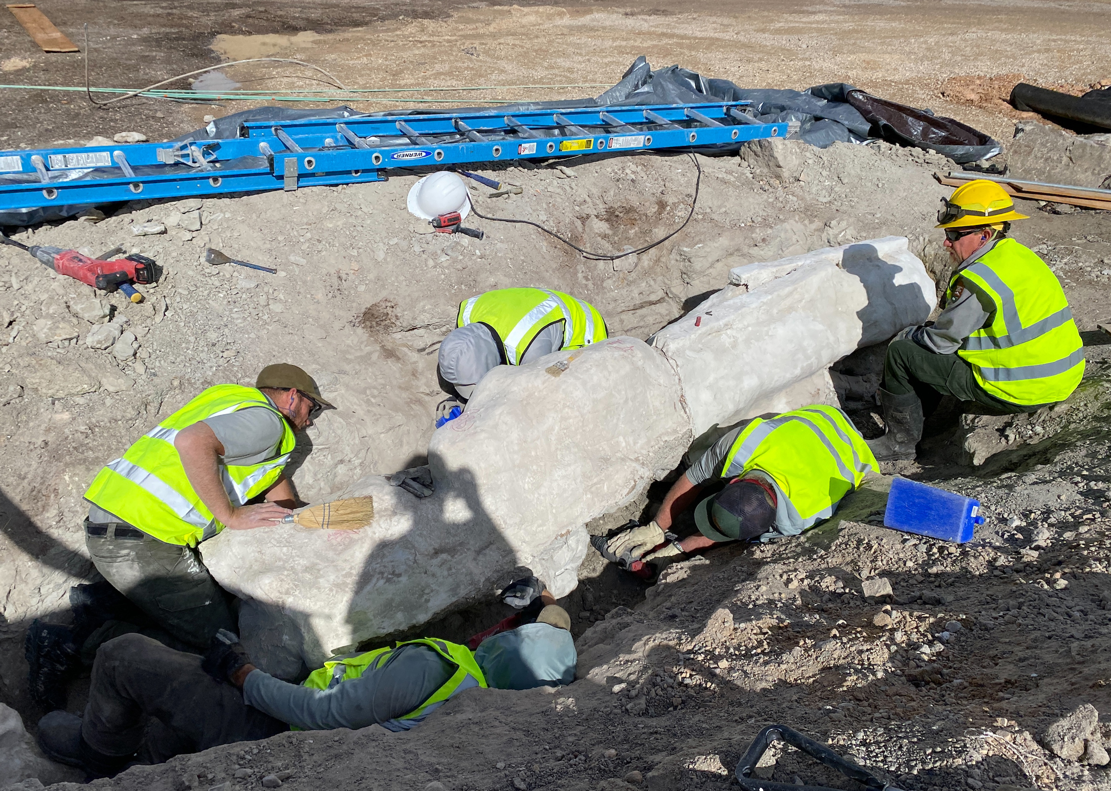 Five people in yellow safety vests work around a large plastered coated rock containing dinosaur fossils.