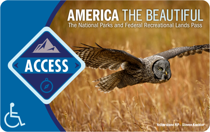 The front of the Interagency Access pass, featuring a Great Gray Owl.