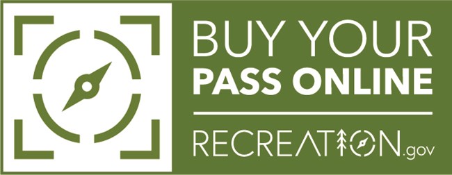 Logo for recreation.gov digital pass