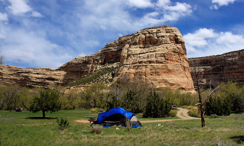 A blue tent sits in a grass field with rocky cliffs in the background