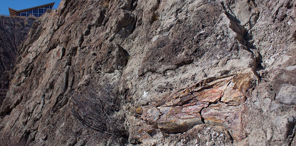 Brownish-gray rock face with red tinted fossil embedded in the rock.