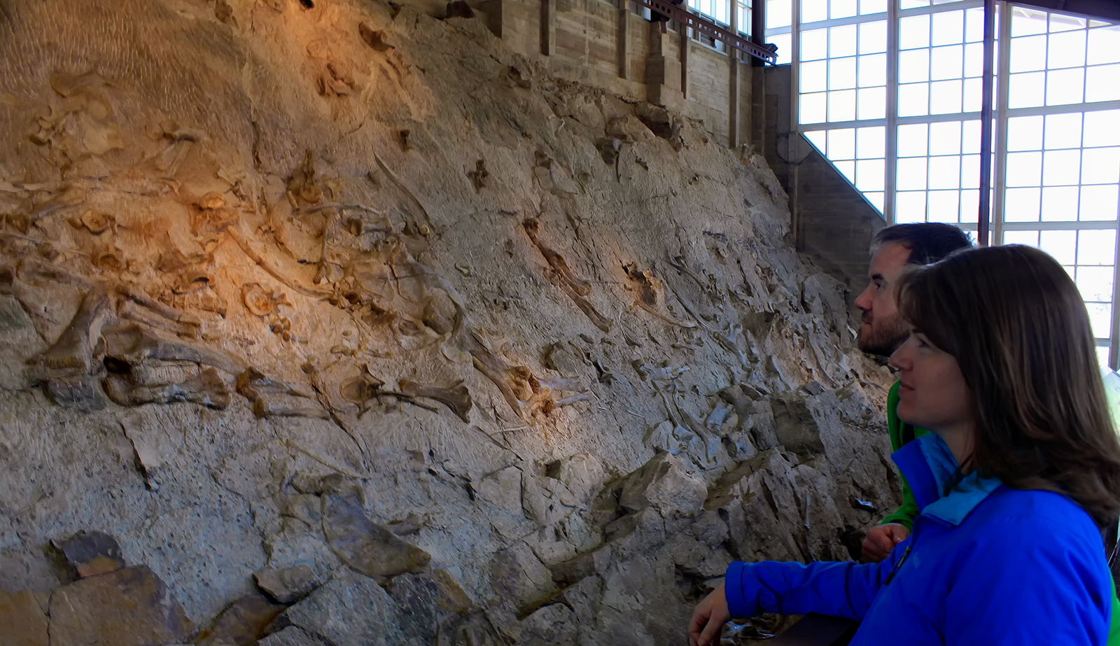 A man and woman looking at a rock cliff filled with dinosaur bones