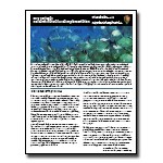 Dry Tortugas Research Natural Area