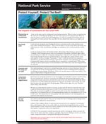 Sunscreen fact sheet