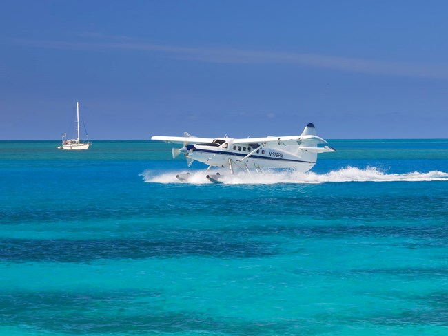 Seaplane landing in the harbor at Garden Key