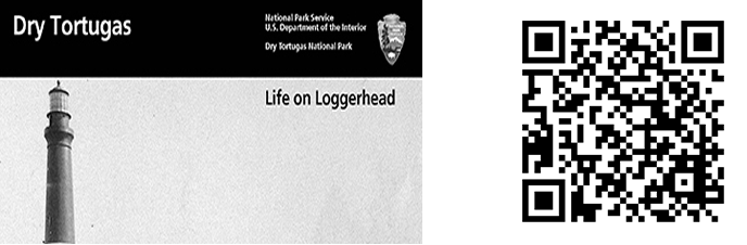 LogerHead QR