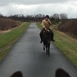 Woman riding mule on paved trail.