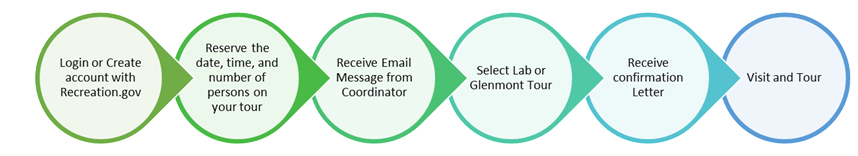 A flowchart depicting how group tours are requested