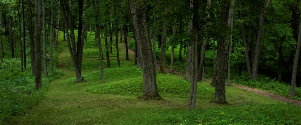 Round shaped mounds along trail