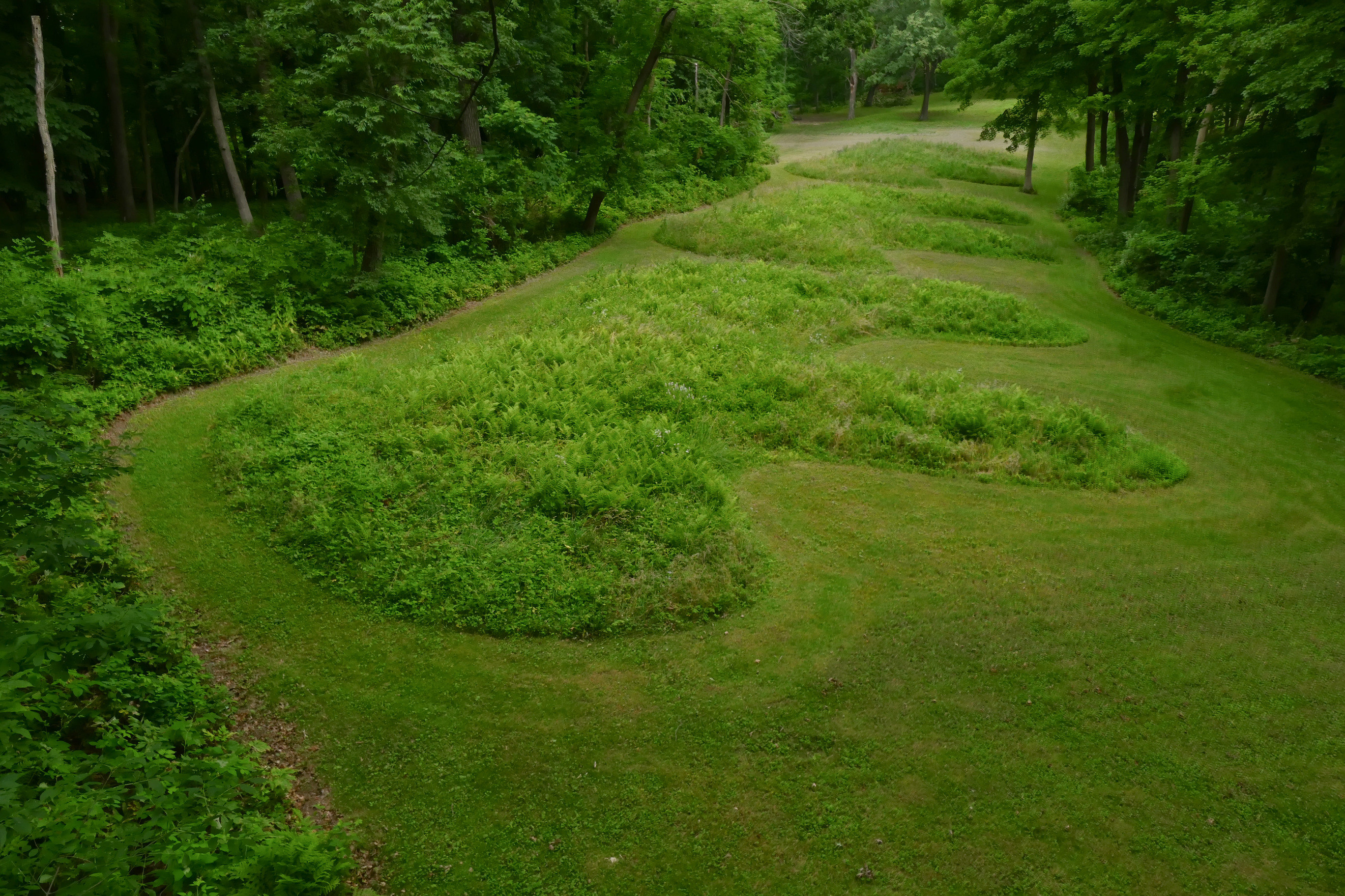 Three Bear Mounds at Marching Bear Mound Group