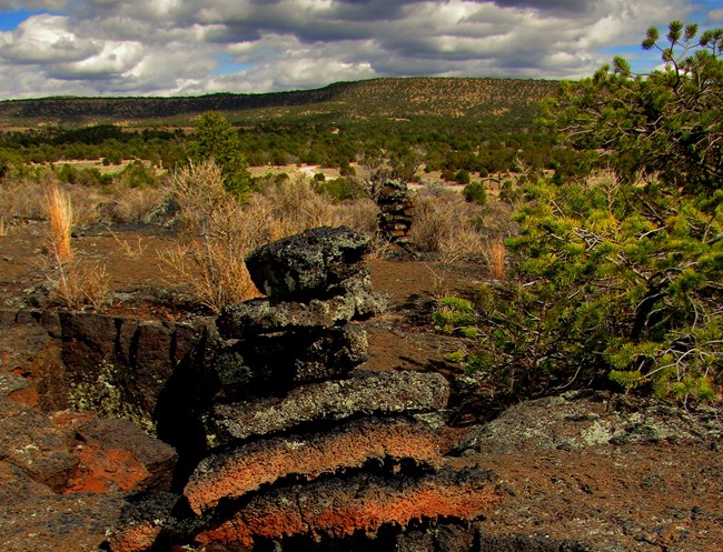 A pile of rocks form a cairn trail marker amongst desert shrubs