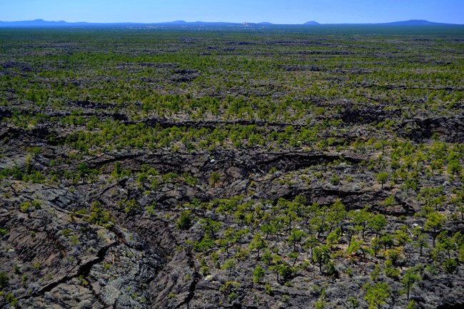 Aerial view of large, young, black lava flow dotted with green trees. The flow is textured with pits and ridges.