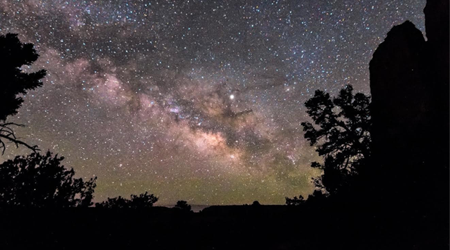 A night sky filled with stars and the Milky Way with silhouettes of trees and rocks.