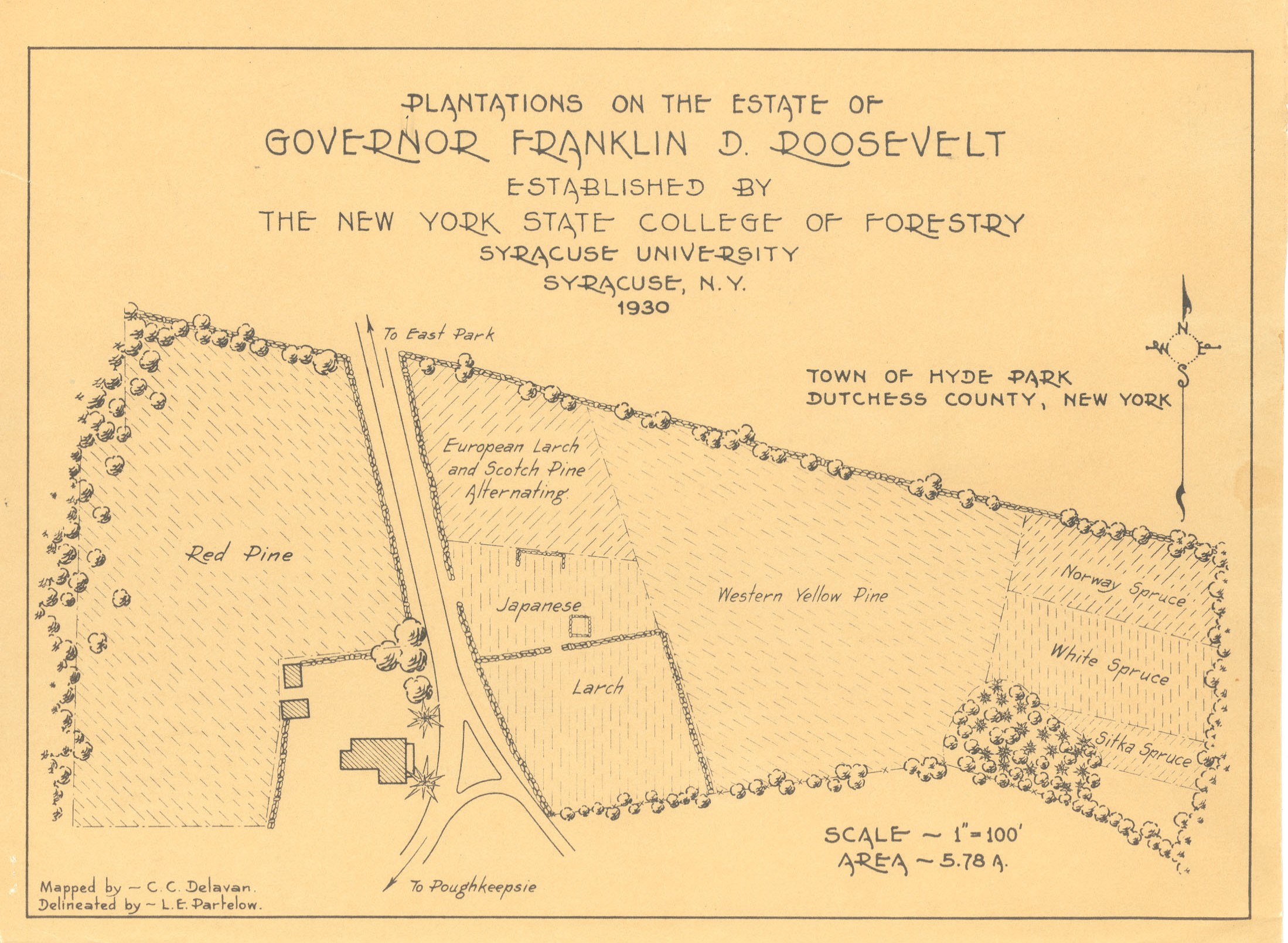A map depicting tree plantations