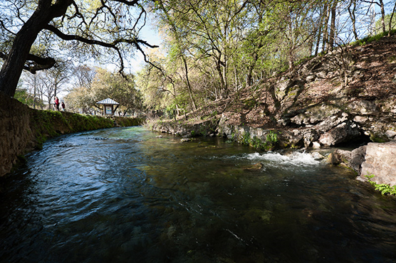 Comal Spring