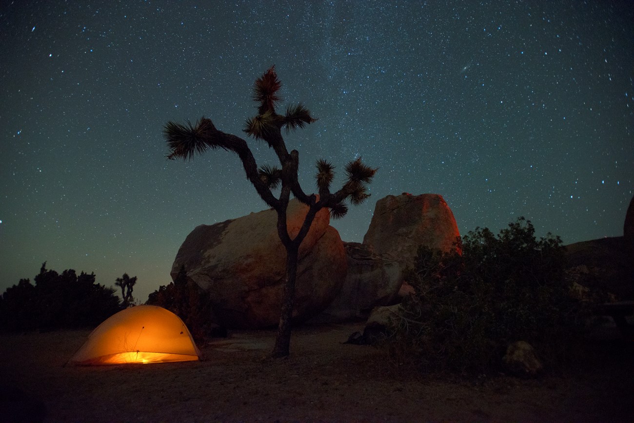 Una carpa iluminada en la noche con un arbol de Joshua y rocas de granito