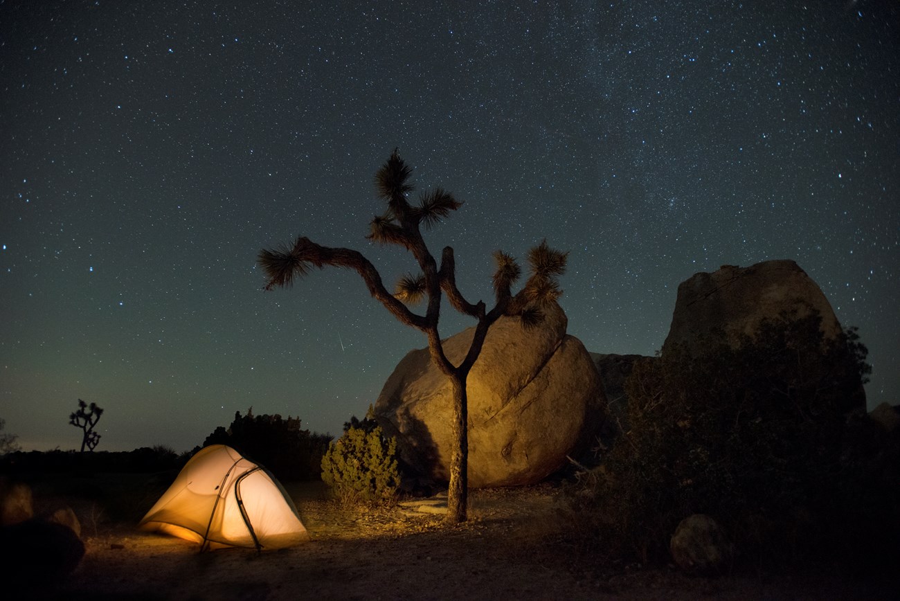 Una noche estrellada en Ryan Campground con un Joshua Tree y un montón de rocas.