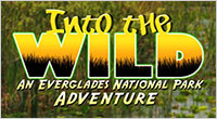 Click Here to Watch Into the Wild